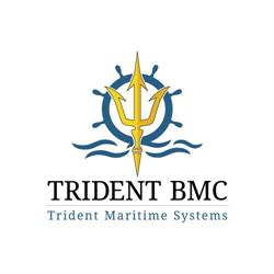Trident BMC AB