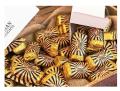 Vegickers Box Chocolate Bars