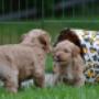 # 1