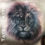 Lejon tatuering Tatsu-Tattoo Västernorrland
