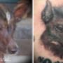 Porträtt realistik tatuering tattoo Sundsvall tatuerare Västernorrland