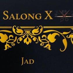 SalongX