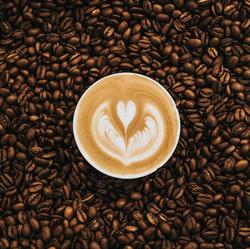 Stenungsund Té & kaffehandel