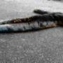 brand utbildning