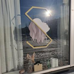 Salong Under the dryer