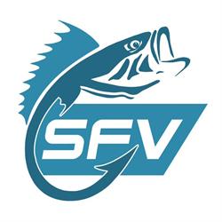 Sportfishing Värmland