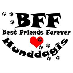 BFF Hunddagis i Sollentuna