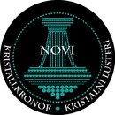 Novi Expertpolering