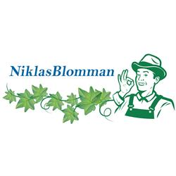 Blomsterhandel Motala - Niklasblomman AB