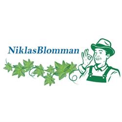 Blomsterhandel Motala - Niklasblomman AB