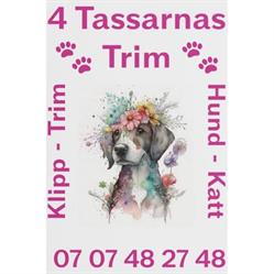 4 Tassarnas Trim AB
