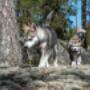 # 28
