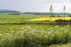 Bergstens Bilder AB
