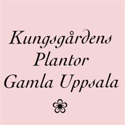 Kungsgårdens Plantor & Inredning