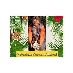 Veterinär Susann Adehed