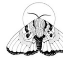 Flying 8 Tattoo