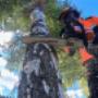 # 11