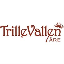 TRILLEVALLENS HÖGFJÄLLSHOTELL