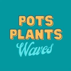 Pots Plants Waves