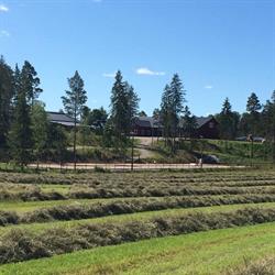 Fridhems Gård