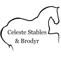 Celeste Stables & Brodyr