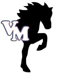 VM Islandshästar AB