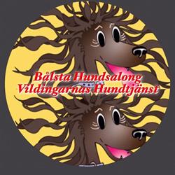 Vildingarnas Hundtjänst  (Bålsta Hundsalong)