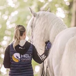 Twighills SportHorses