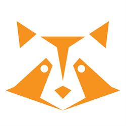 Raccoons Tech Consulting