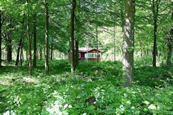 Ormanäs Stugby