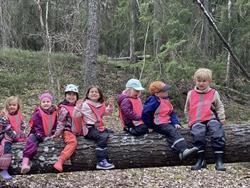 Montessoriförskolan Svanen