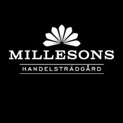 Millesons Handelsträdgård