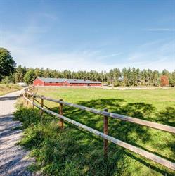 Sanda Equestrian