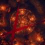 # 2