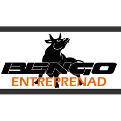 Bengo Entreprenad AB