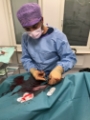 Morteza opererar livmoderinflammation på hund