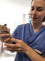 Malin håller i guldhamster