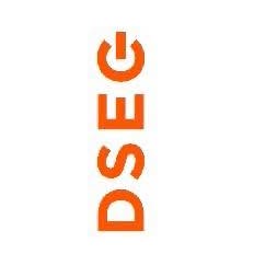 DSEG