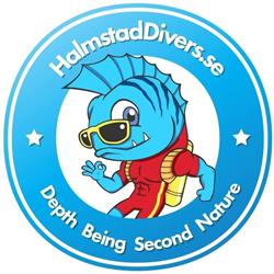 Halmstad Divers AB