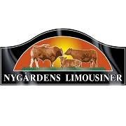 Nygårdens limousiner