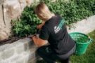 plantering