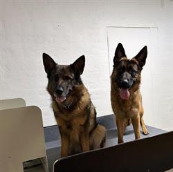 Carinas Klo & Klös AB