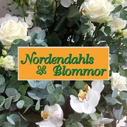 Nordendahls Blommor