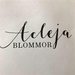 Acleja Blomsterhandel i Vaggeryd