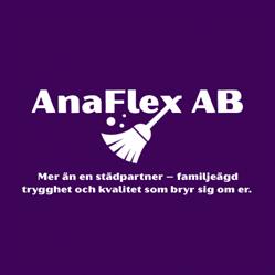 AnaFlex Group AB