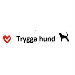 Trygga Hund i Stockholm AB - Hunddagis Kista och Järvastaden Solna Sundbyberg Sollentuna