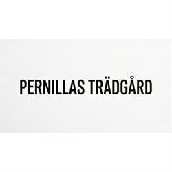 Pernillas Trädgård