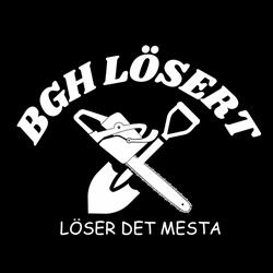 BGH Lösert