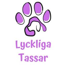 Lyckliga Tassar