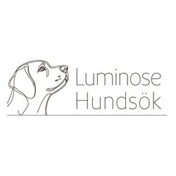 Luminose Hundsök